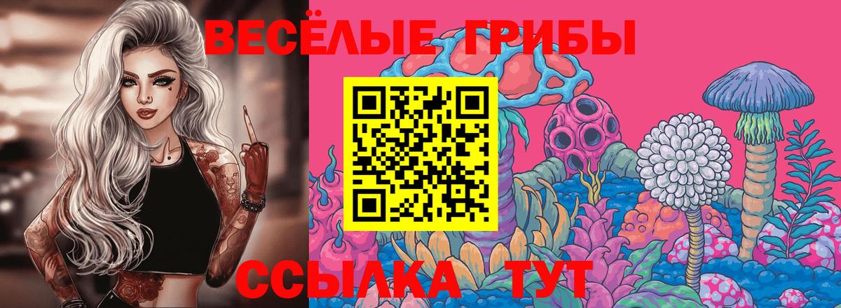 Галлюциногенные грибы Cubensis  Вход с VPN  Выкса 
